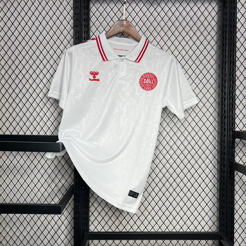 DENMARK EURO MEN'S JERSEY II 2024