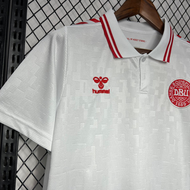 DENMARK EURO MEN'S JERSEY II 2024