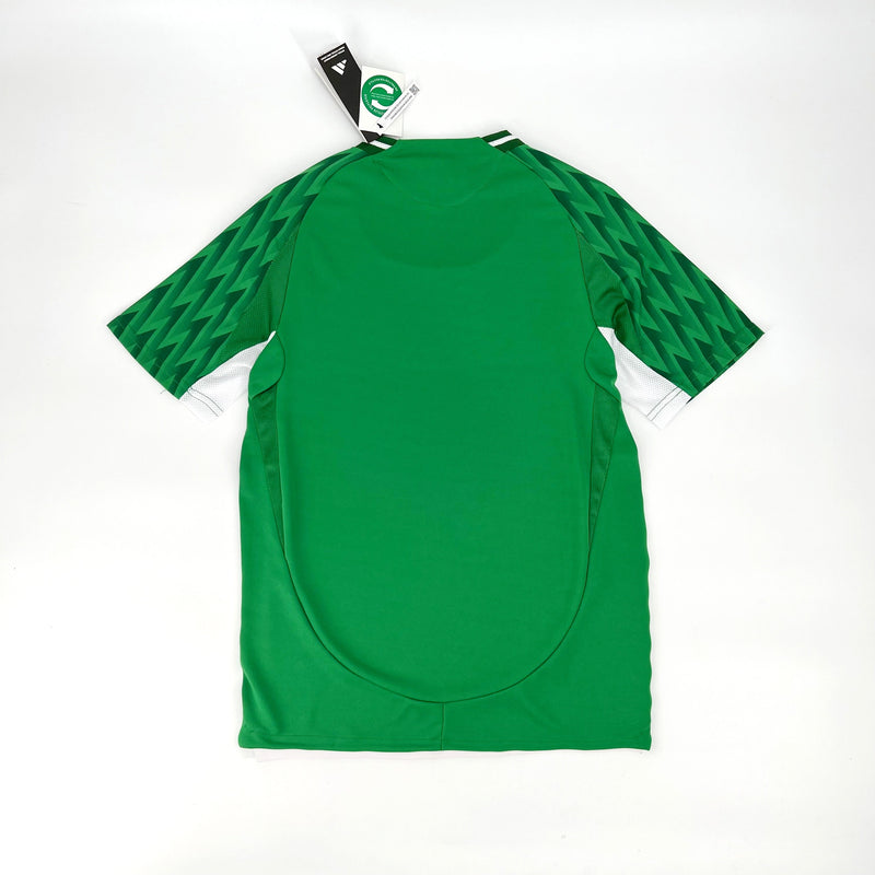 PALMEIRAS MEN'S JERSEY SPECIAL EDITION I 24/25